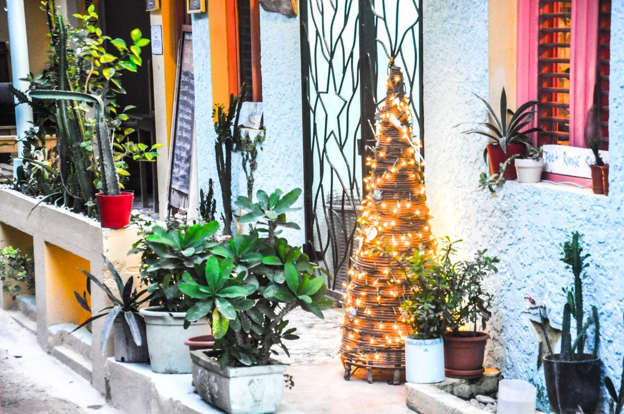Casa Delfin Guest House Las Terrenas Zewnętrze zdjęcie